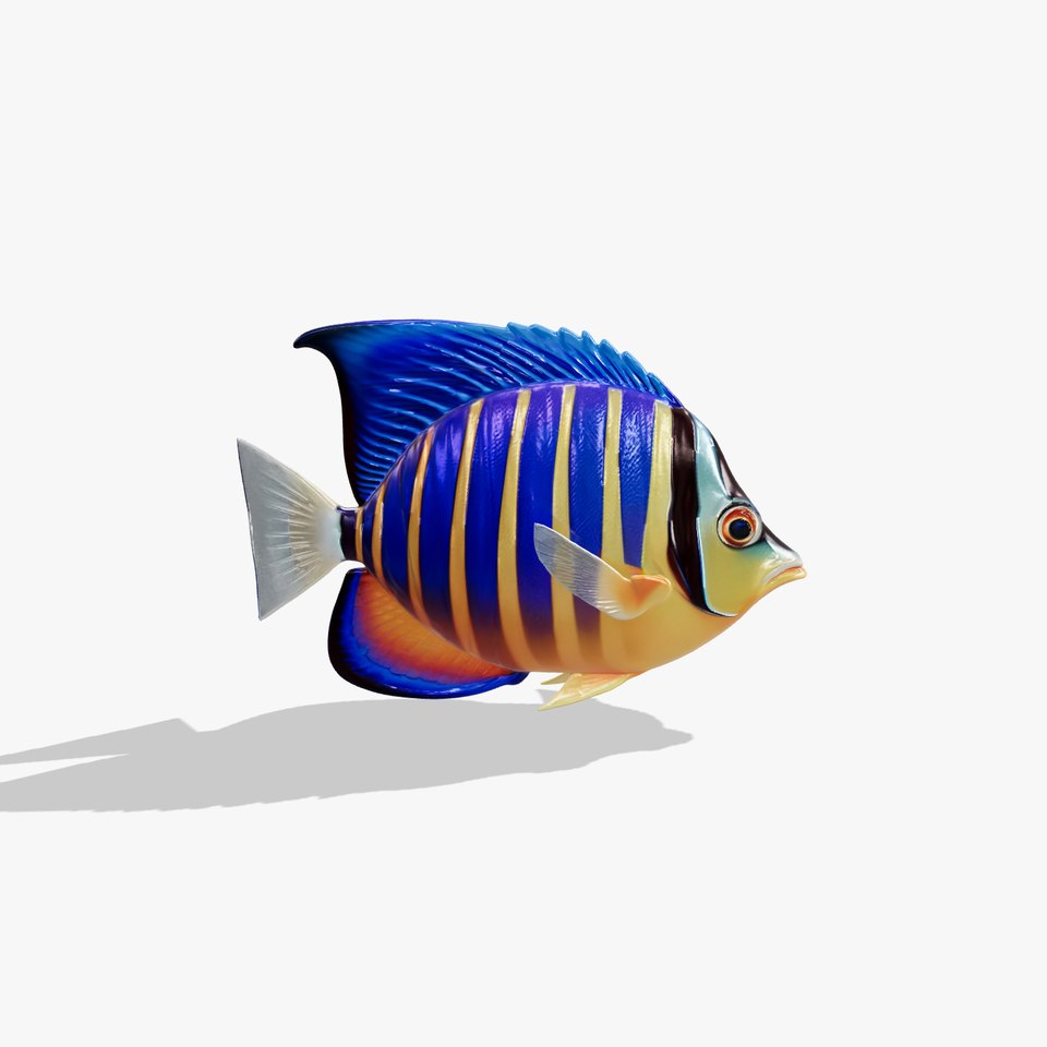 Colorful Tropical Fish Model Pack