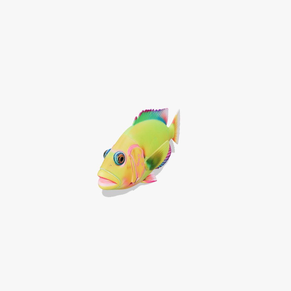 Colorful Tropical Fish D Model Pack viewer poster