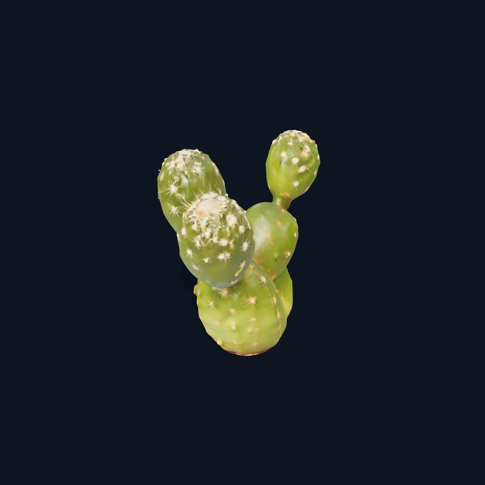 Realistic Cactus Model Pack with PBR Textures viewer poster