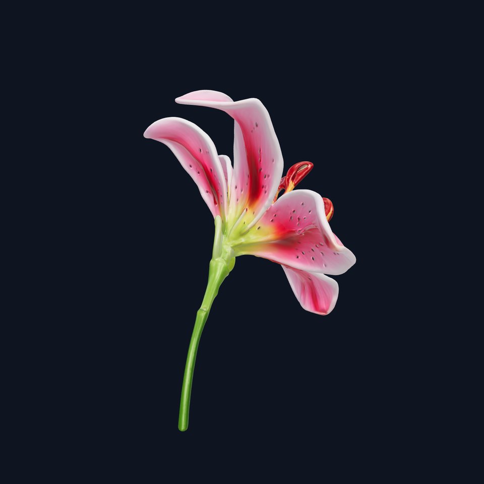 Realistic Pink Lily Flower D Model Pack