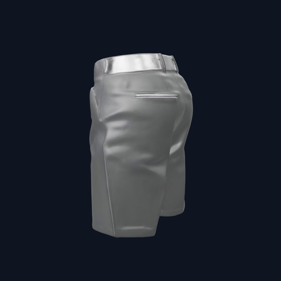 Formal Shorts D Model Pack