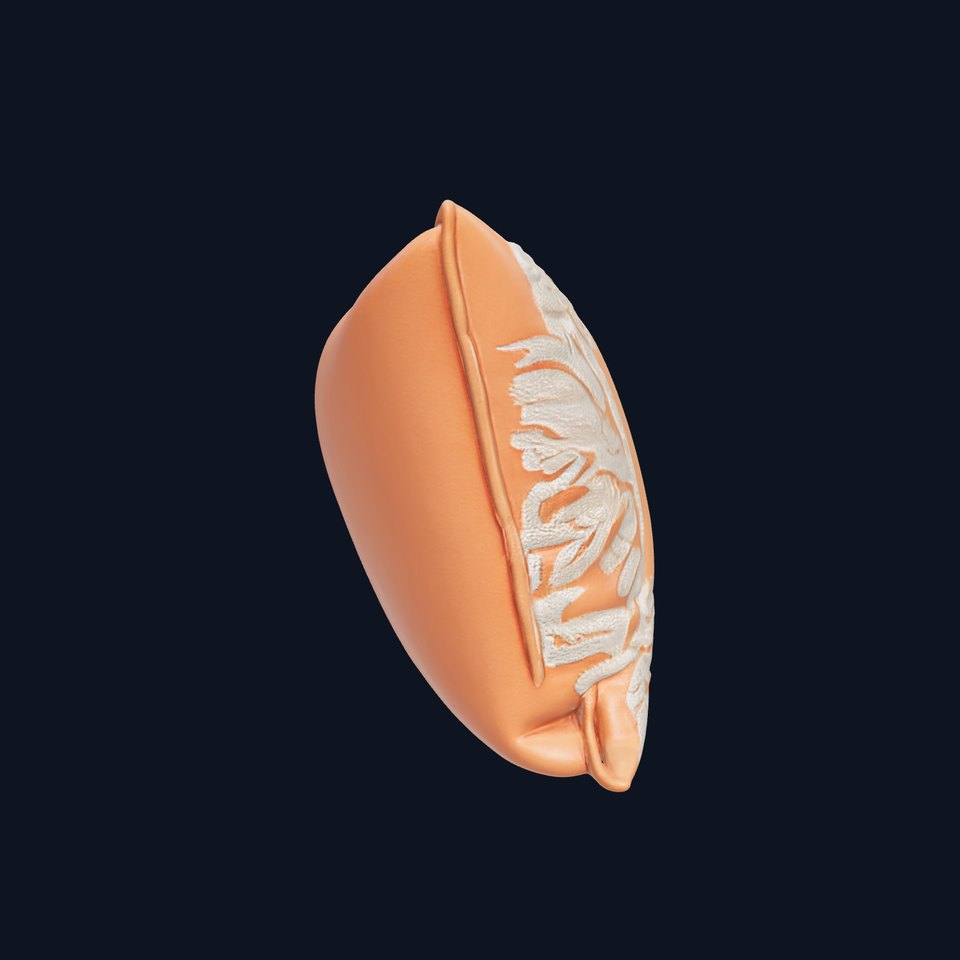 Decorative Cushion Model Pack with Elegant Embroidery