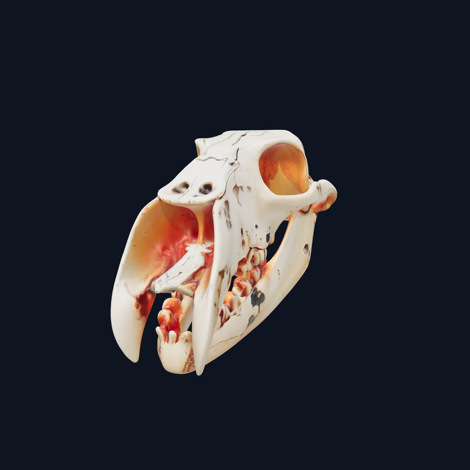 Animal Skull Model Pack with High Detail and PBR Textures