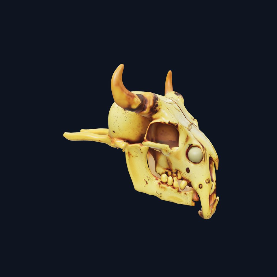 Animal Skull Model Pack with Detailed Anatomy