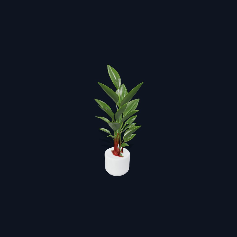 Potted Rubber Plant D Model Pack