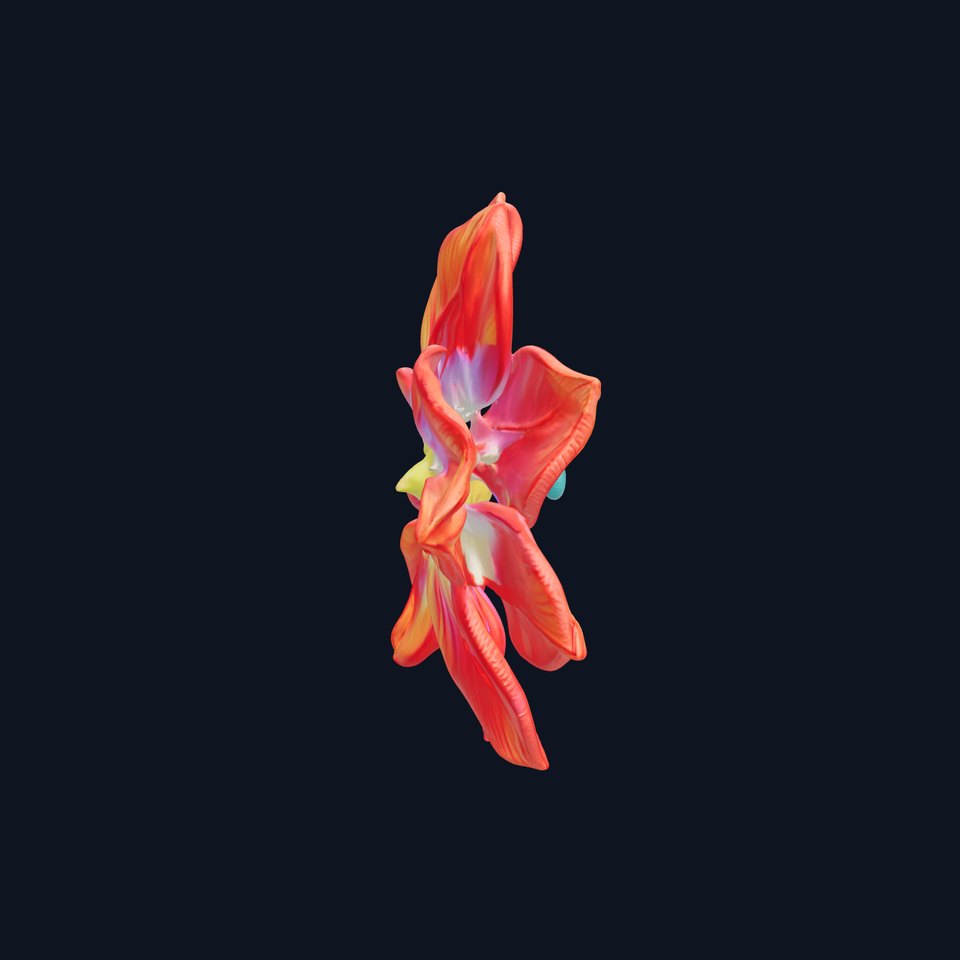 Vibrant Floral Model Pack  Detailed D Flower