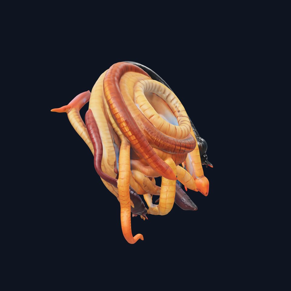 Realistic Worm Collection D Model Pack