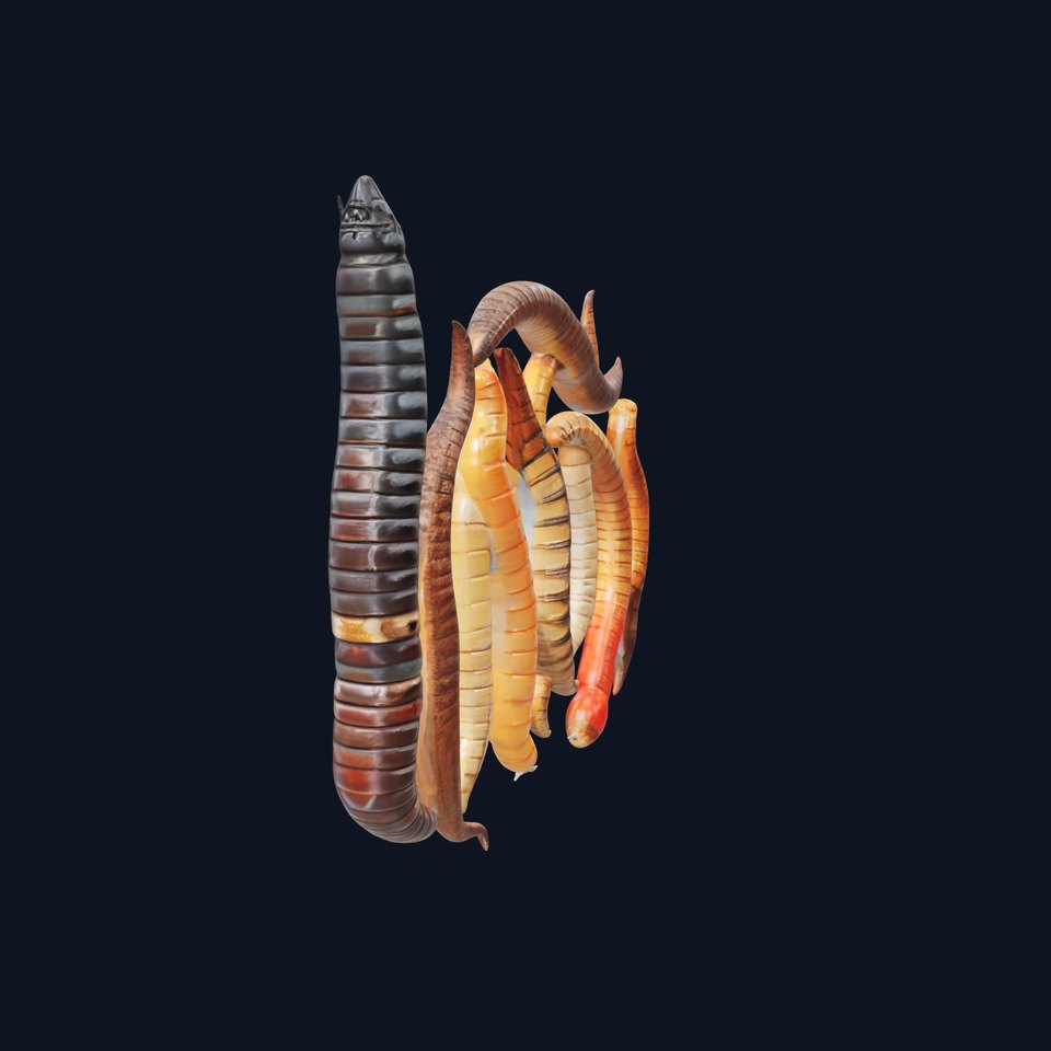 Realistic Worm Model Pack for D Rendering and Games