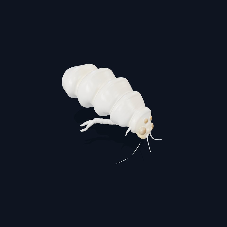 Transparent Larva Model Pack