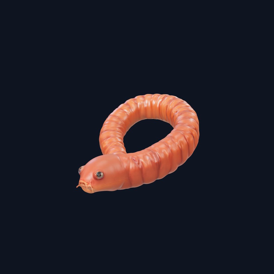 Realistic Worm Model Pack for Animation and Games