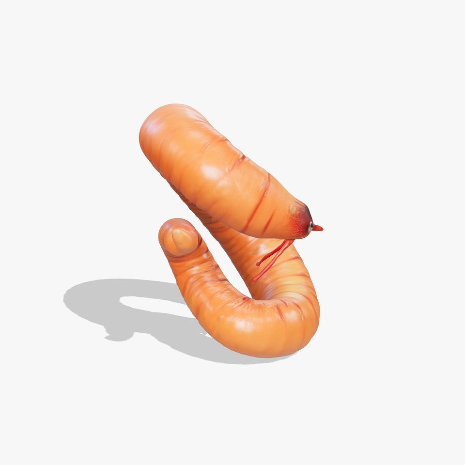 Curled Redworm D Model Pack