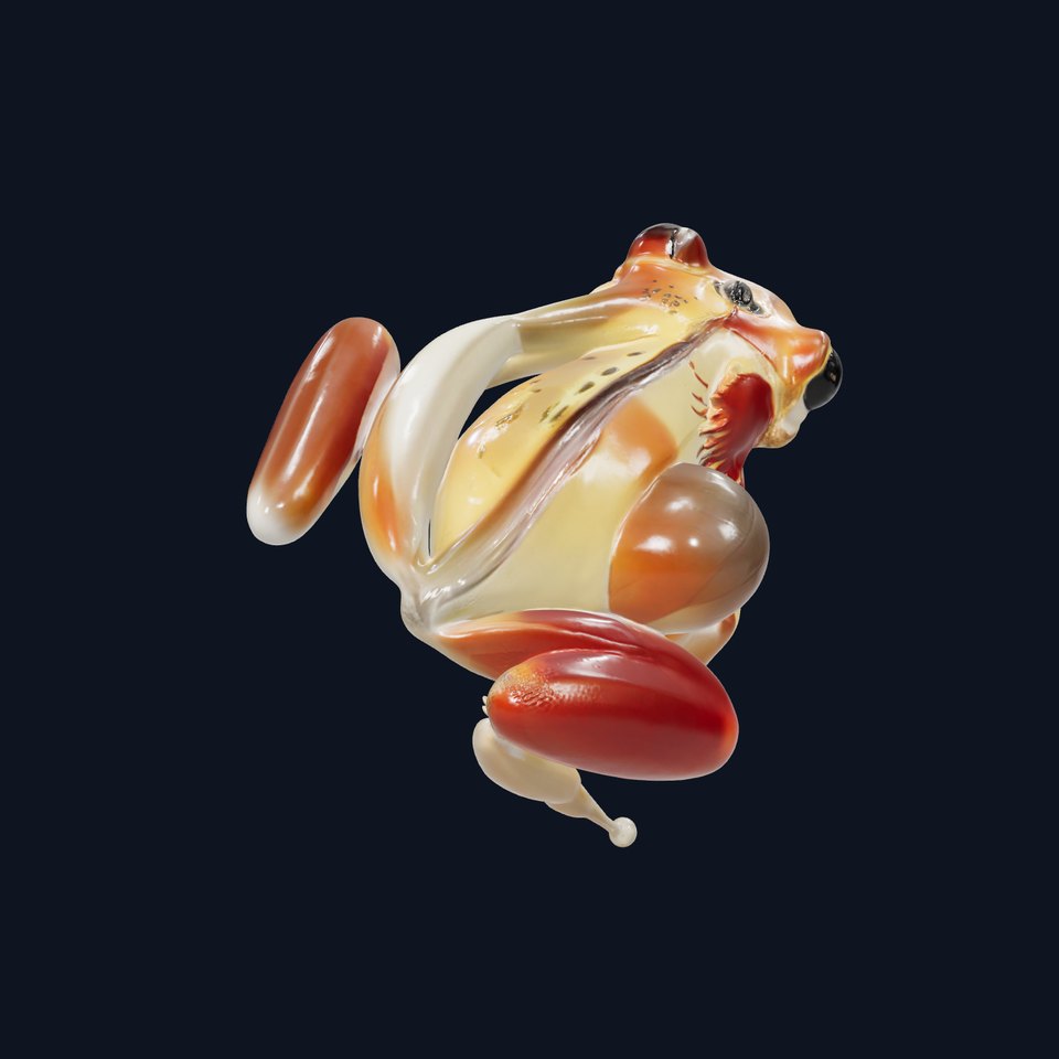 Transparent Glass Frog Model Pack