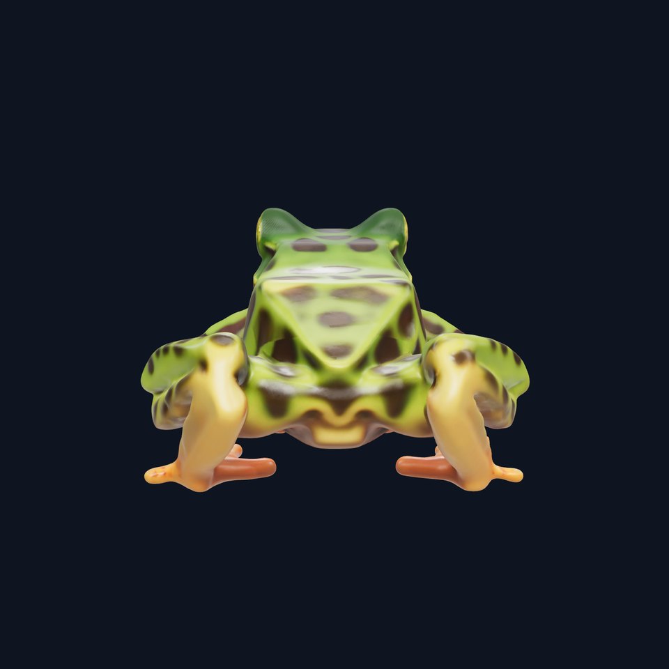Colorful Tree Frog D Model Pack