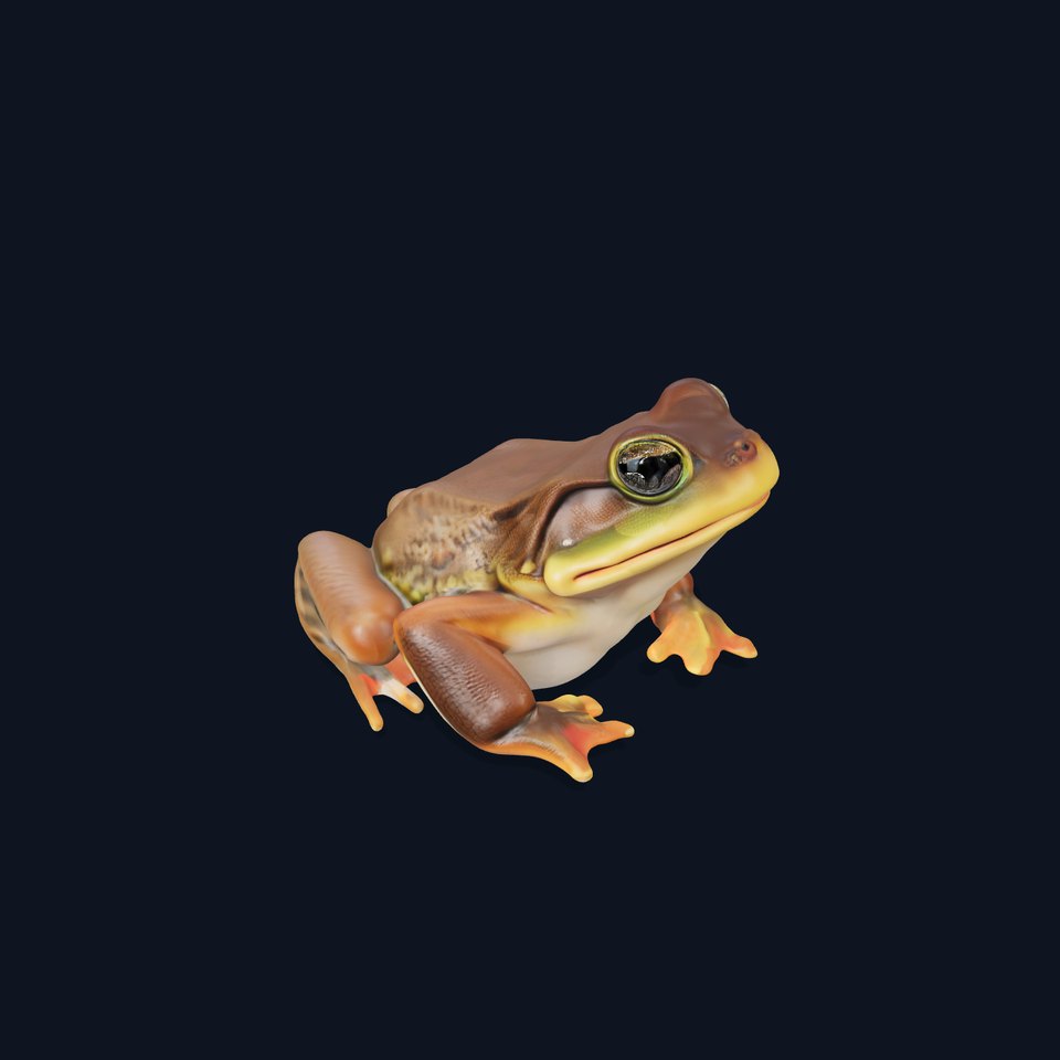 Realistic Frog Model Pack for Animation and Games viewer poster