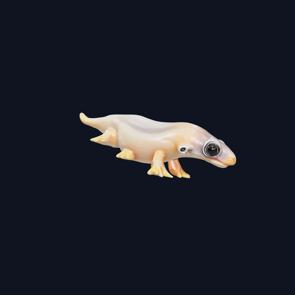 Realistic Gecko Model Pack for D Rendering and Games