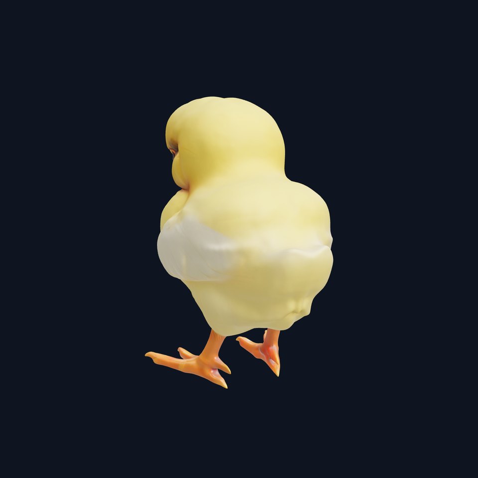 Realistic Chicken Chick Model Pack for Production and Gaming