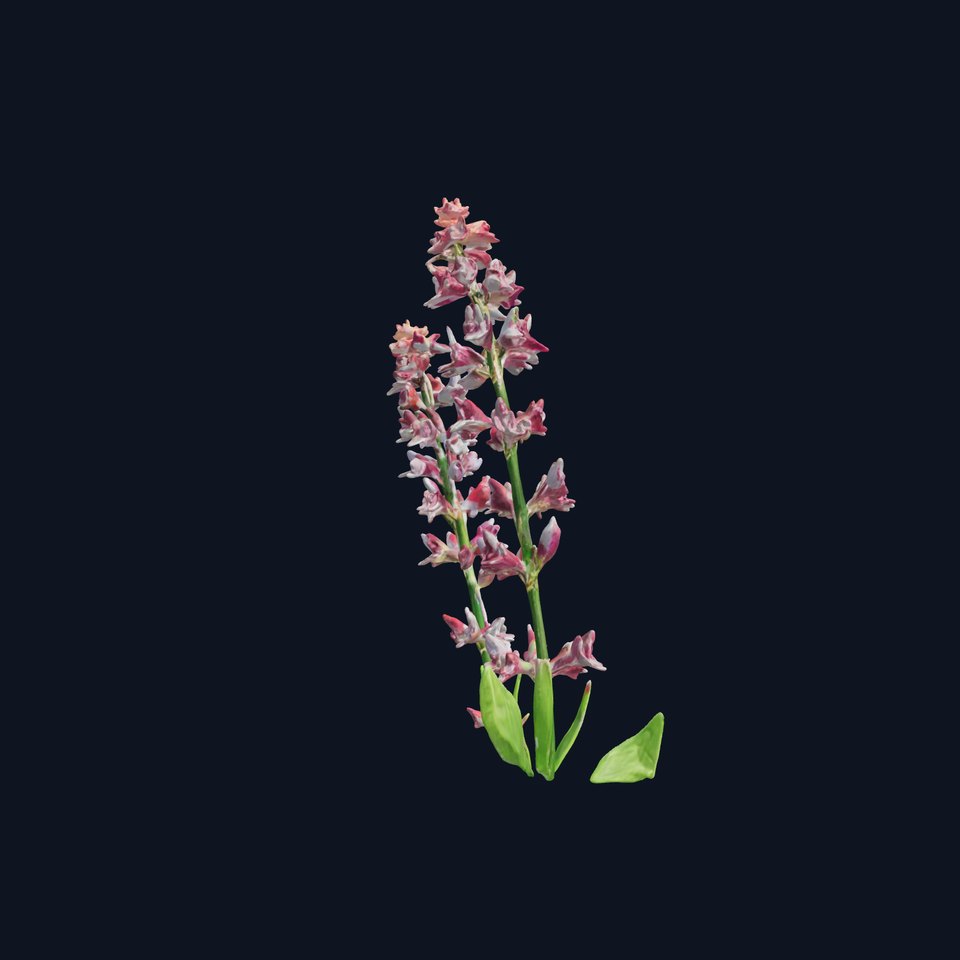 Purple Flower Model Pack with Detailed Textures