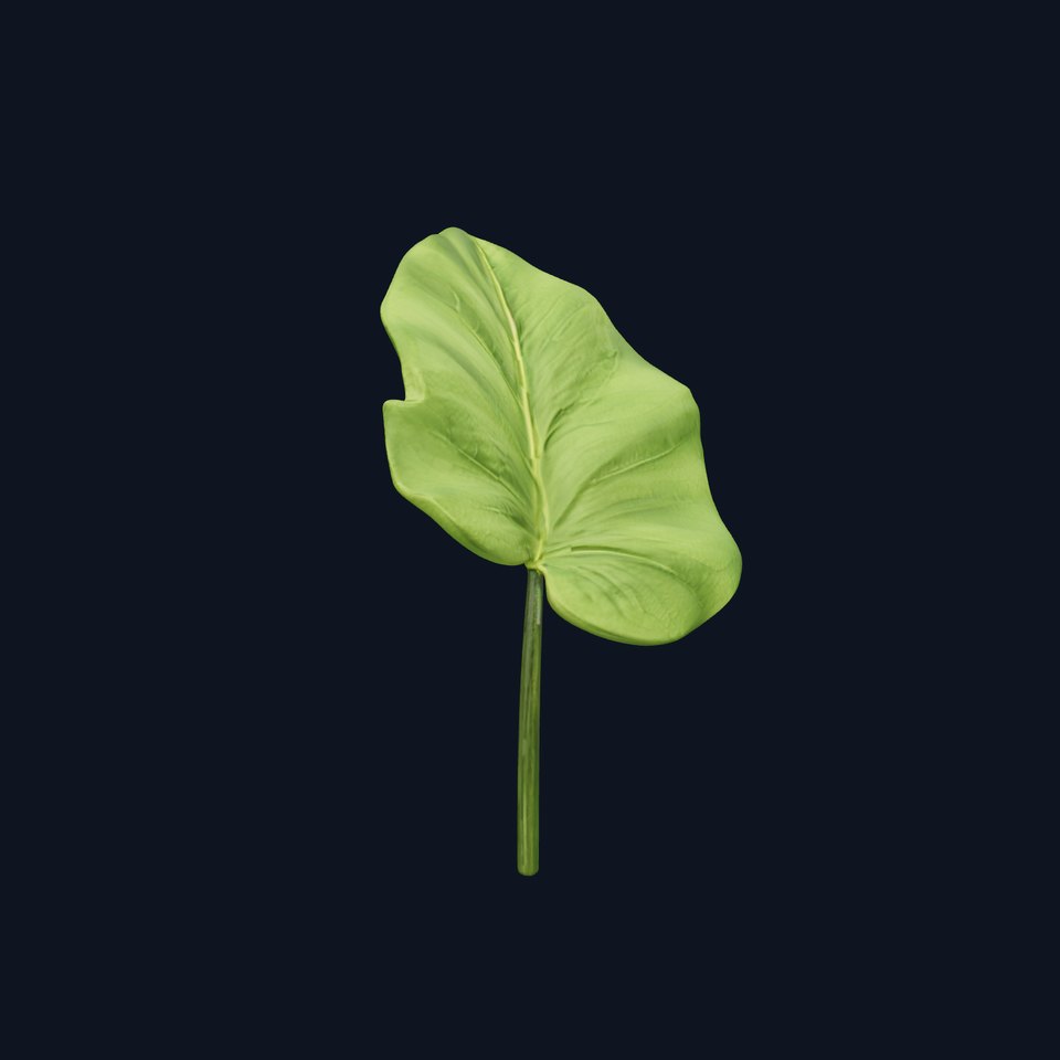 Botanical Leaf Model Pack with Realistic Textures