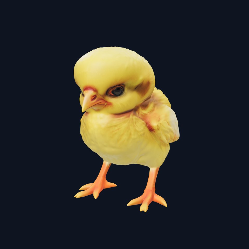 Realistic Baby Chick D Model Pack for Animations and Games