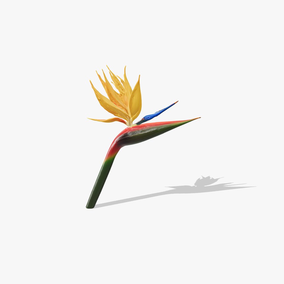 Exotic Bird of Paradise Flower Model Pack viewer poster