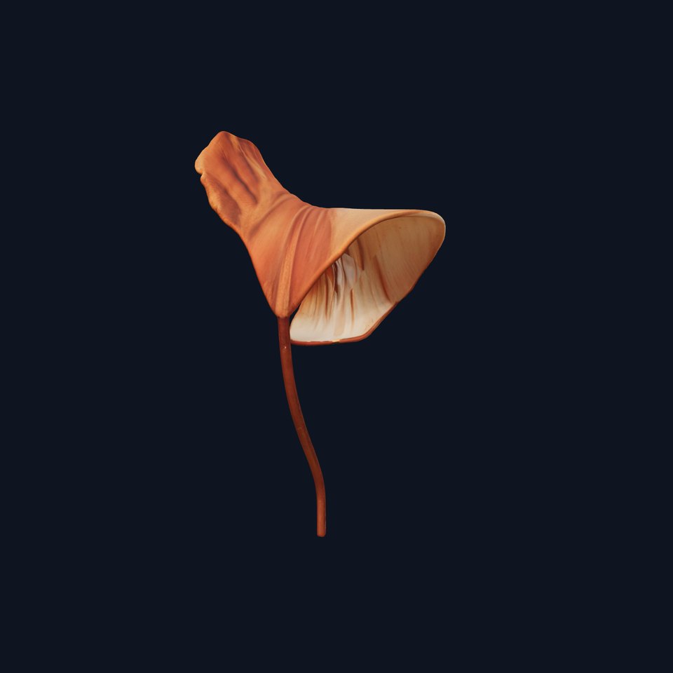 Elegant Dried Leaf Model Pack for Botanical Scenes