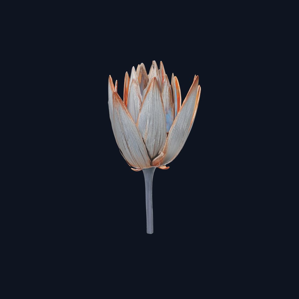 Futuristic Metal Flower Model Pack