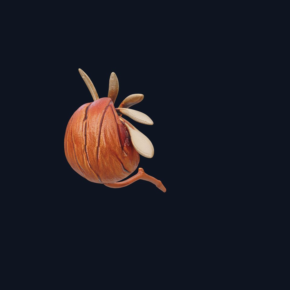 Spiral Seed Pod Model Pack