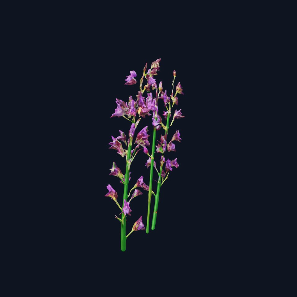 Lavender Flower Model Pack for Realistic Rendering