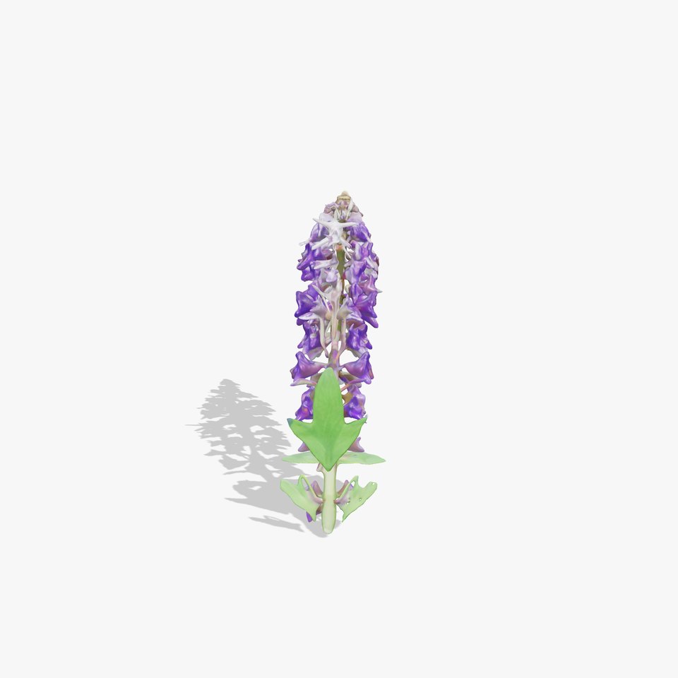 Purple Flower Model Pack with Multiple Levels of Detail