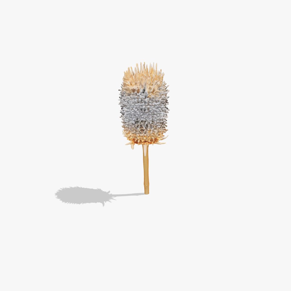 Thistle Model Pack  Detailed Botanical D Model