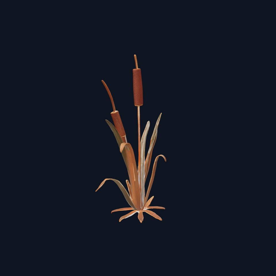 Reed Plant Model Pack for Realistic Environments