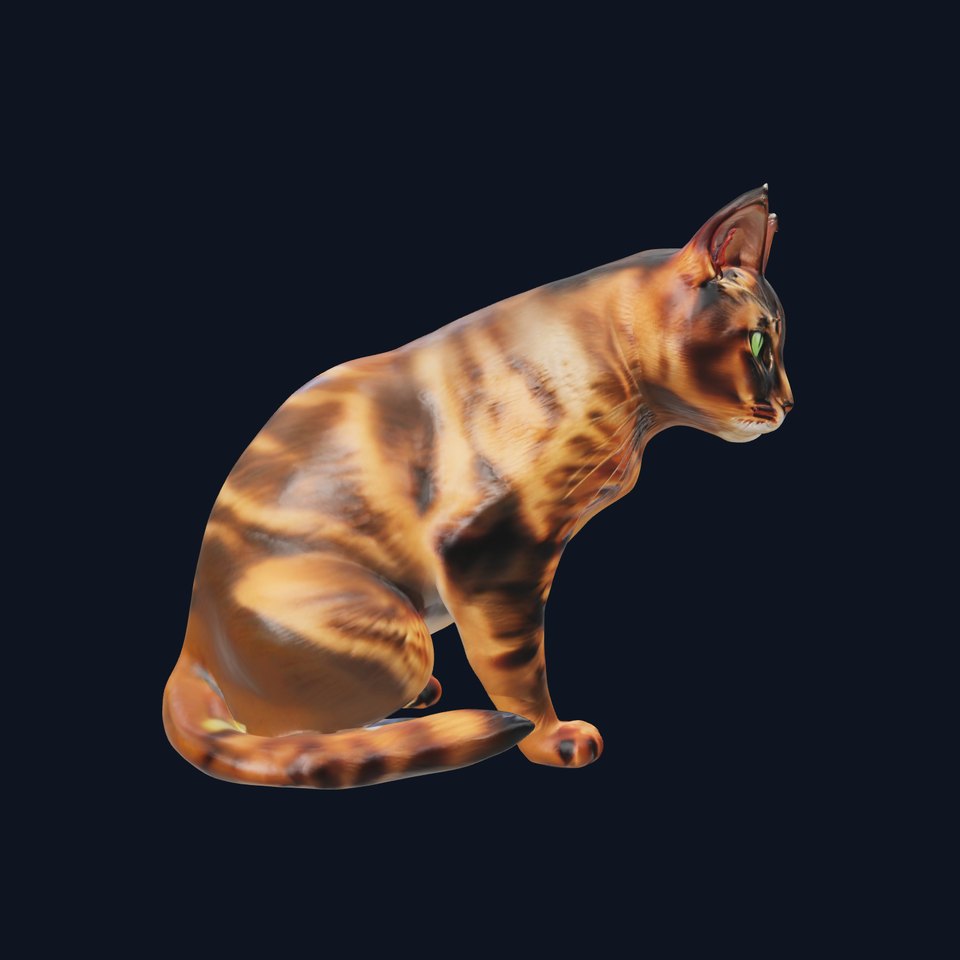Realistic Feline D Model Pack with Detailed Textures