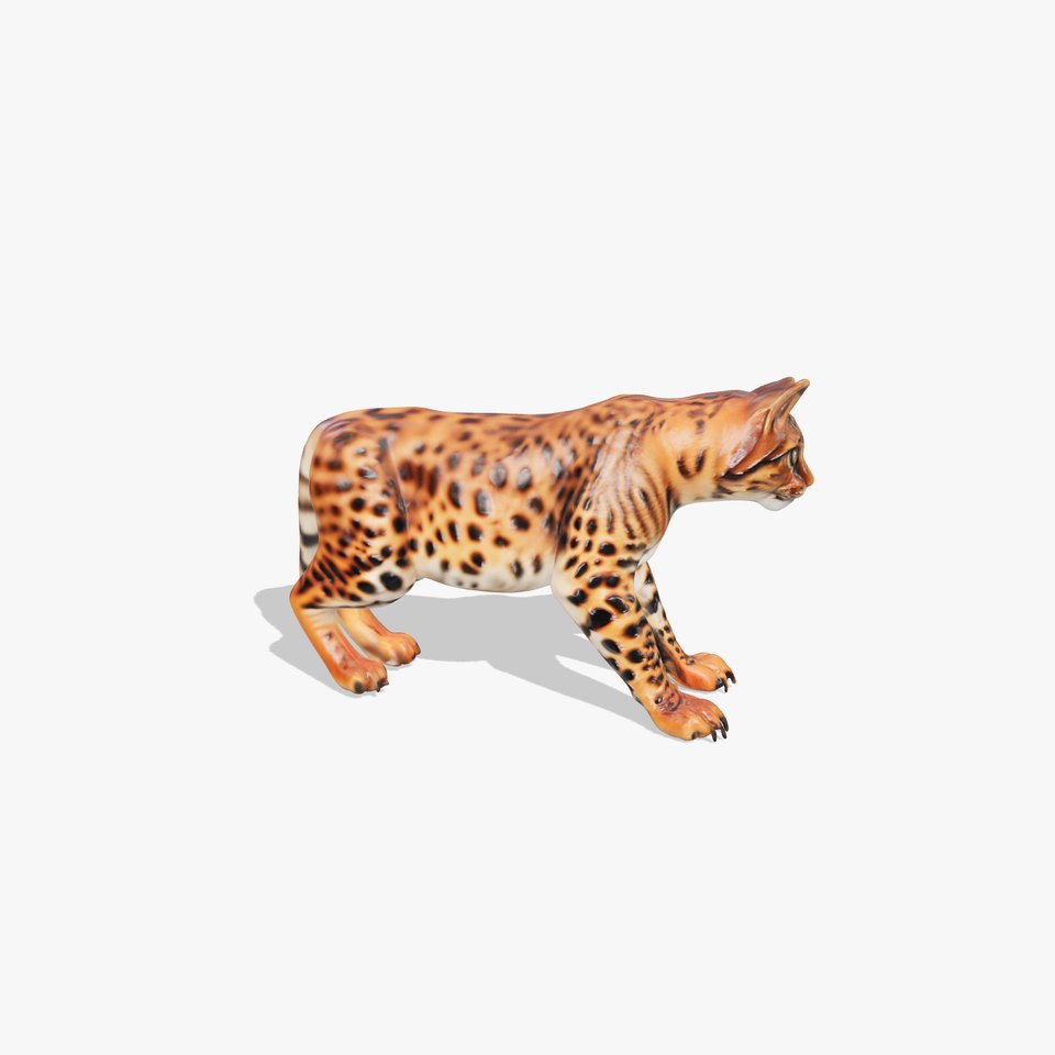 Bengal Cat Model Pack for Interactive Environments