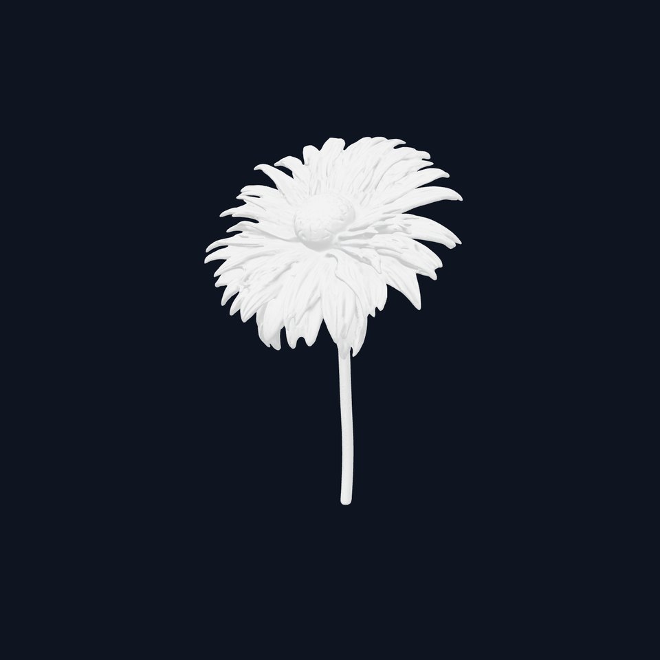 Metallic Flower Model Pack for D Rendering viewer poster