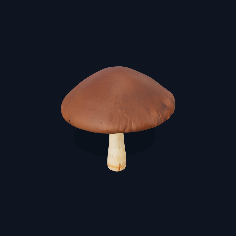Realistic Mushroom Model Pack