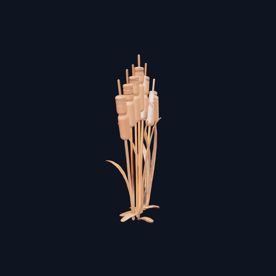 Cattail Plant D Model Pack