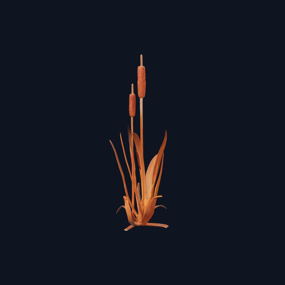 Cattail Plant Model Pack for Environments and Games
