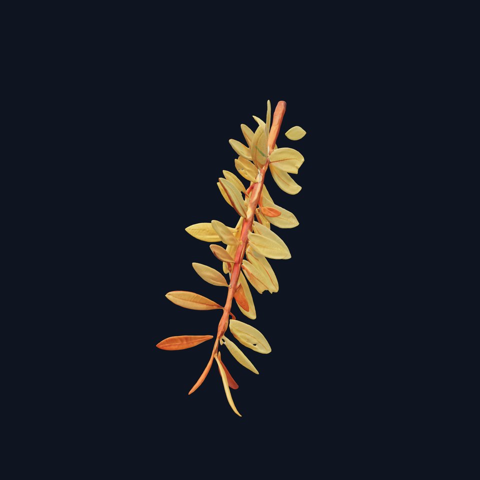 Leafy Branch Model Pack for D Environments and Renders