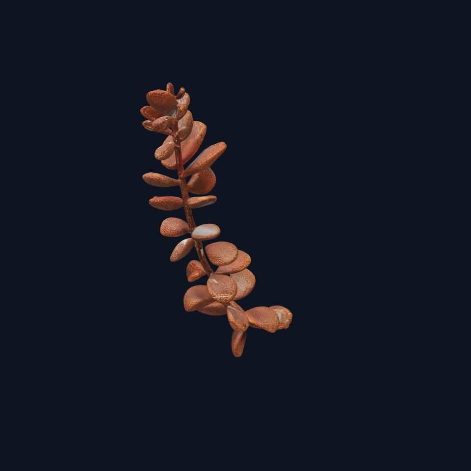 Realistic Branch with Leaves Model Pack