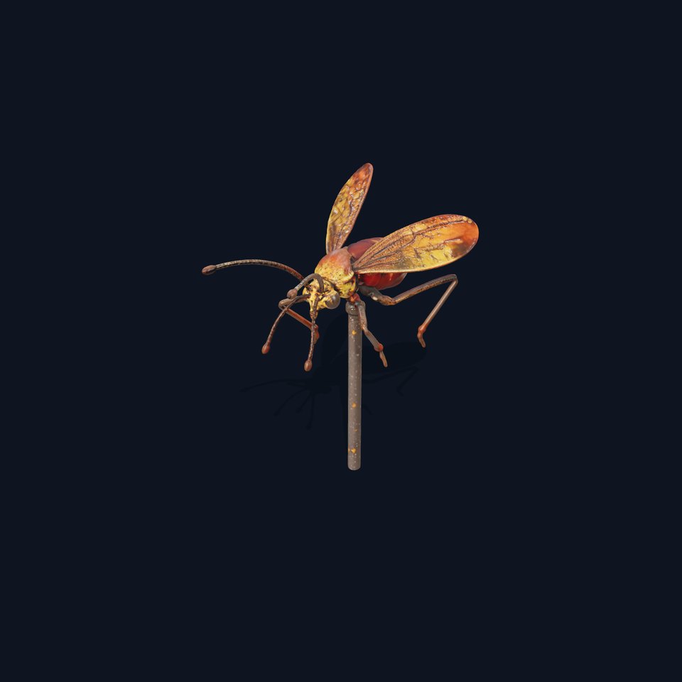Detailed Insect Model Pack for Animation and Games