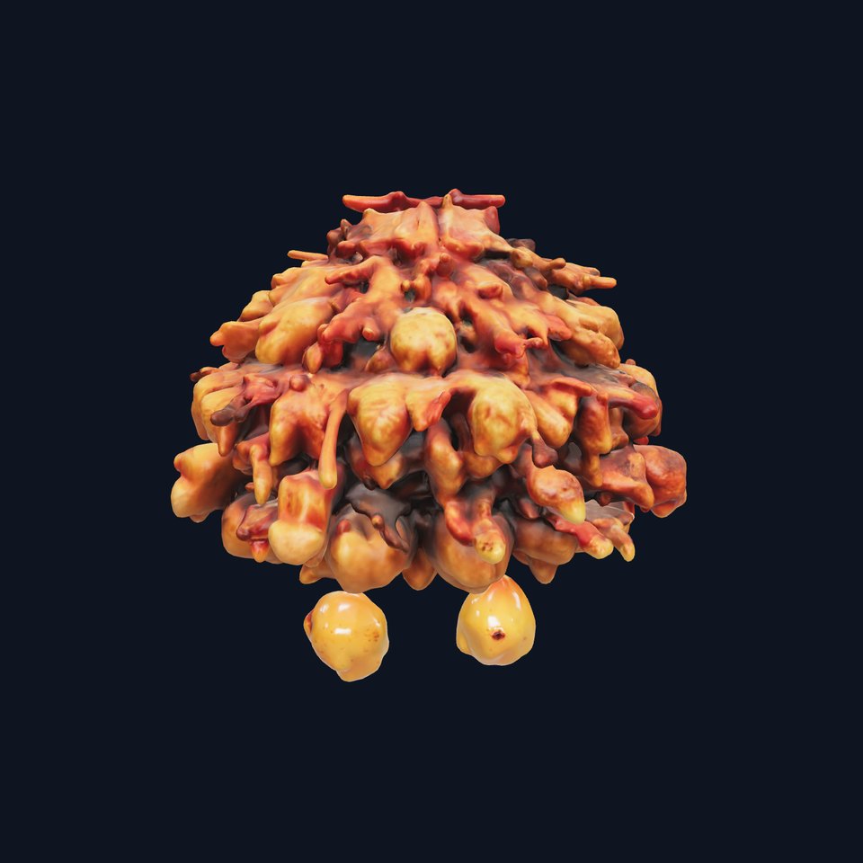 Mushroom Cuisine Model Pack