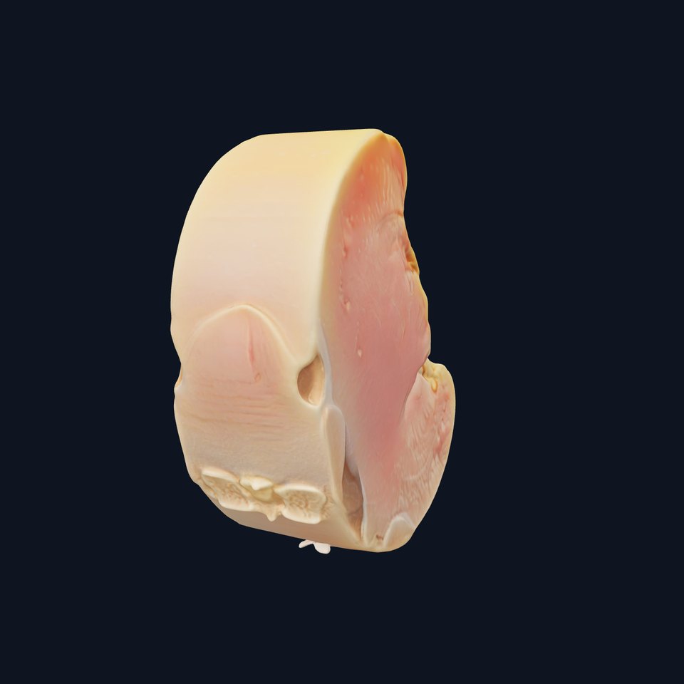 Raw Chicken Breast D Model Pack for Culinary Projects