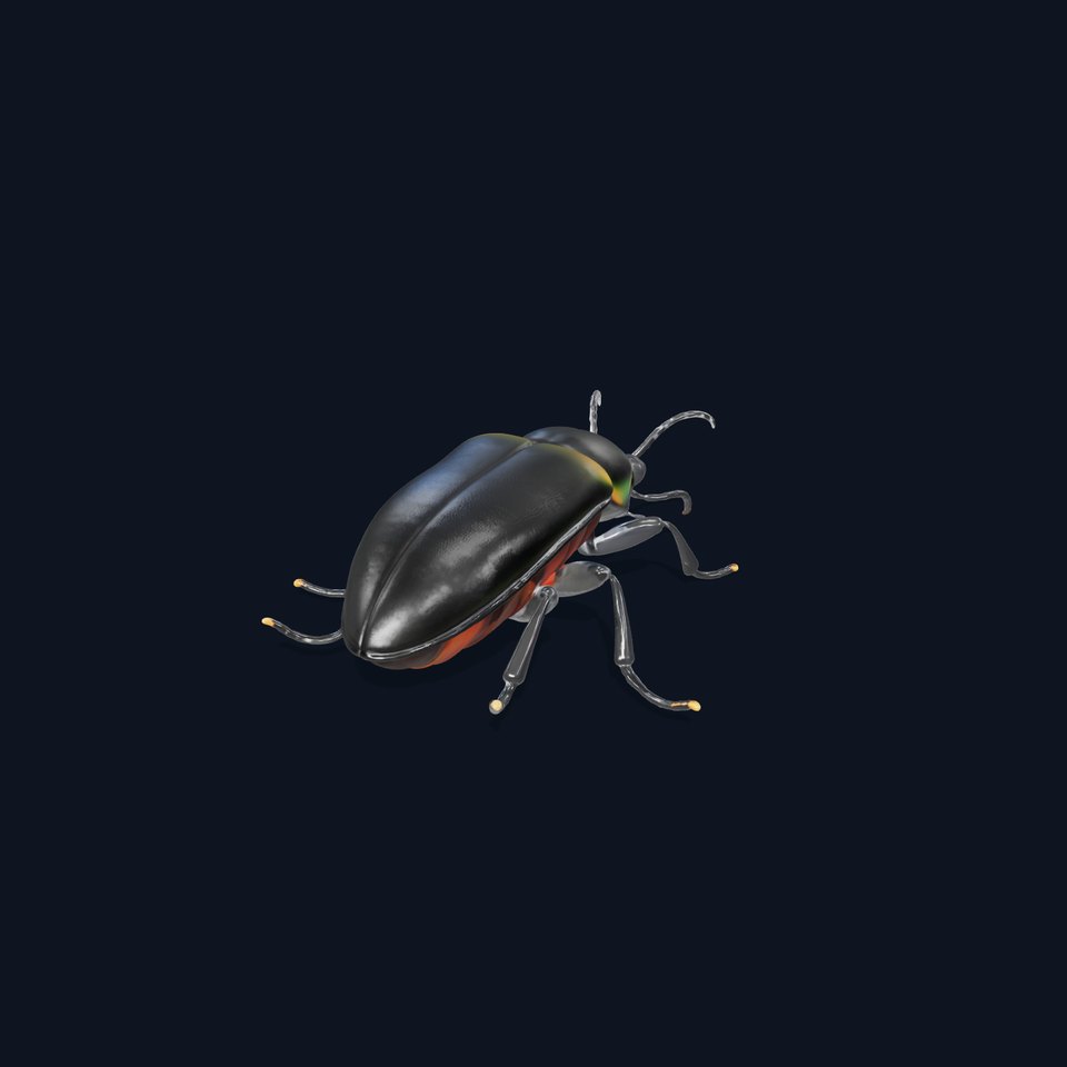 D Beetle Model Pack  High Detail Arthropod