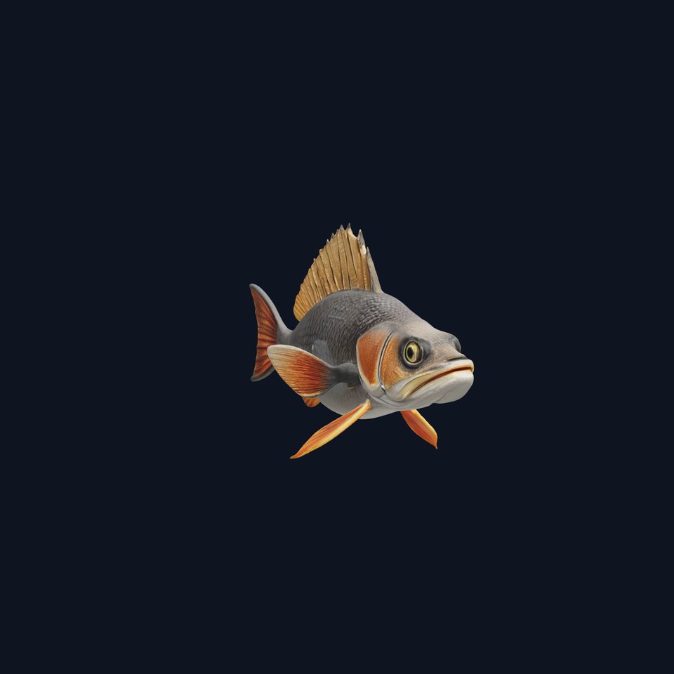 Realistic Fish Model Pack with Detailed Textures