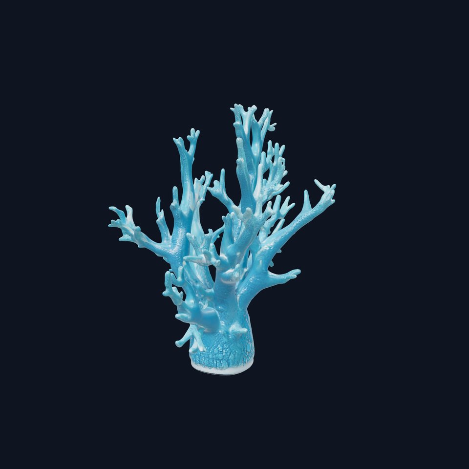 Coral Reef Structure Model Pack for D Rendering