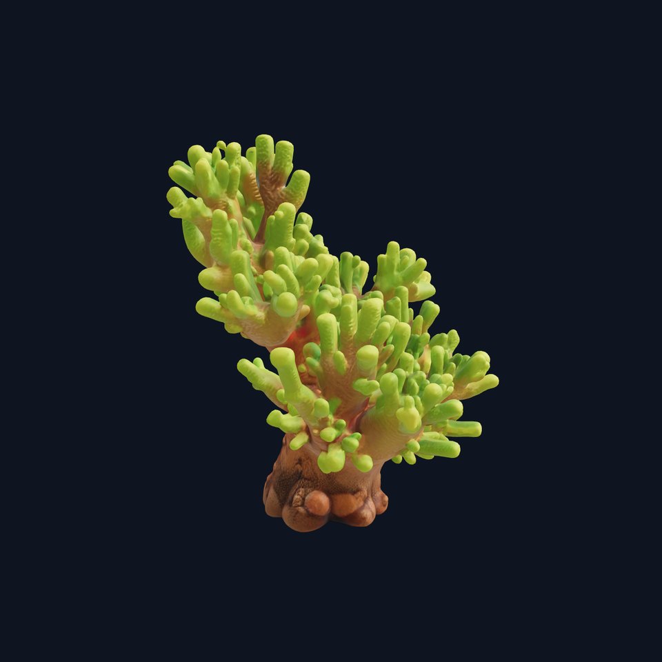 Vibrant Coral Model Pack for Aquatic Environments