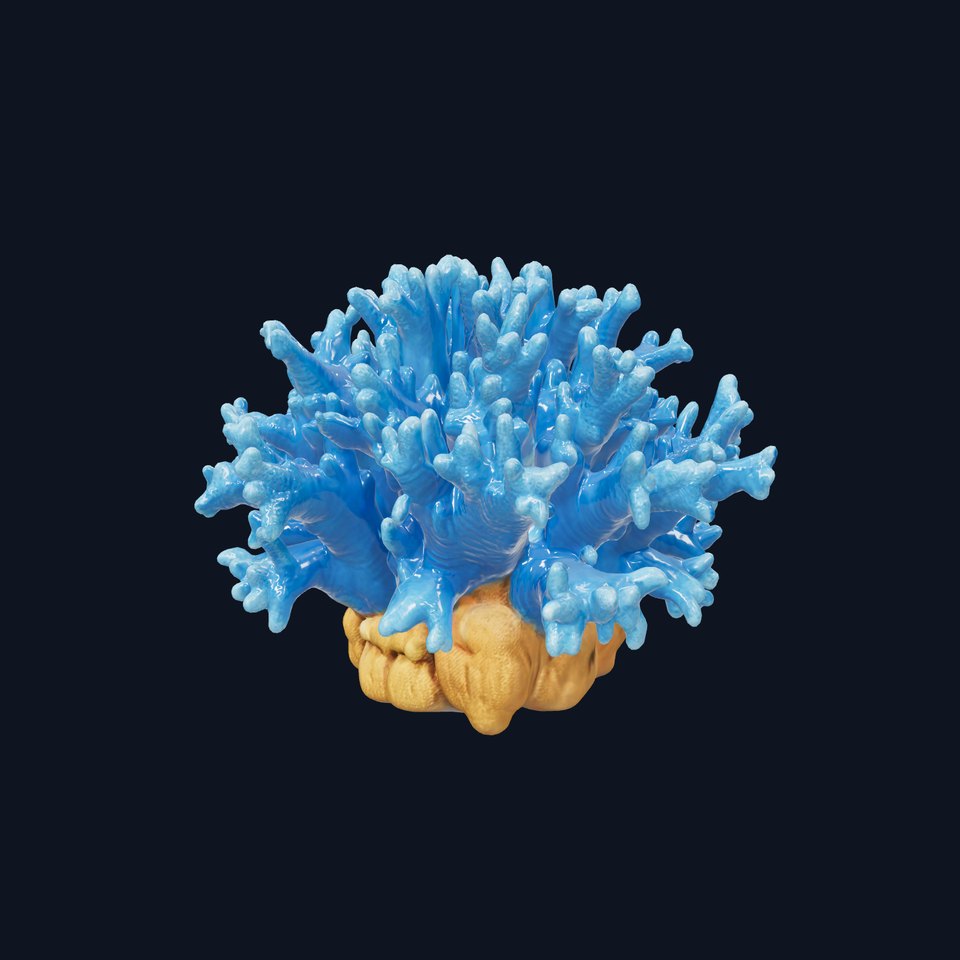 Blue Coral Reef Model Pack