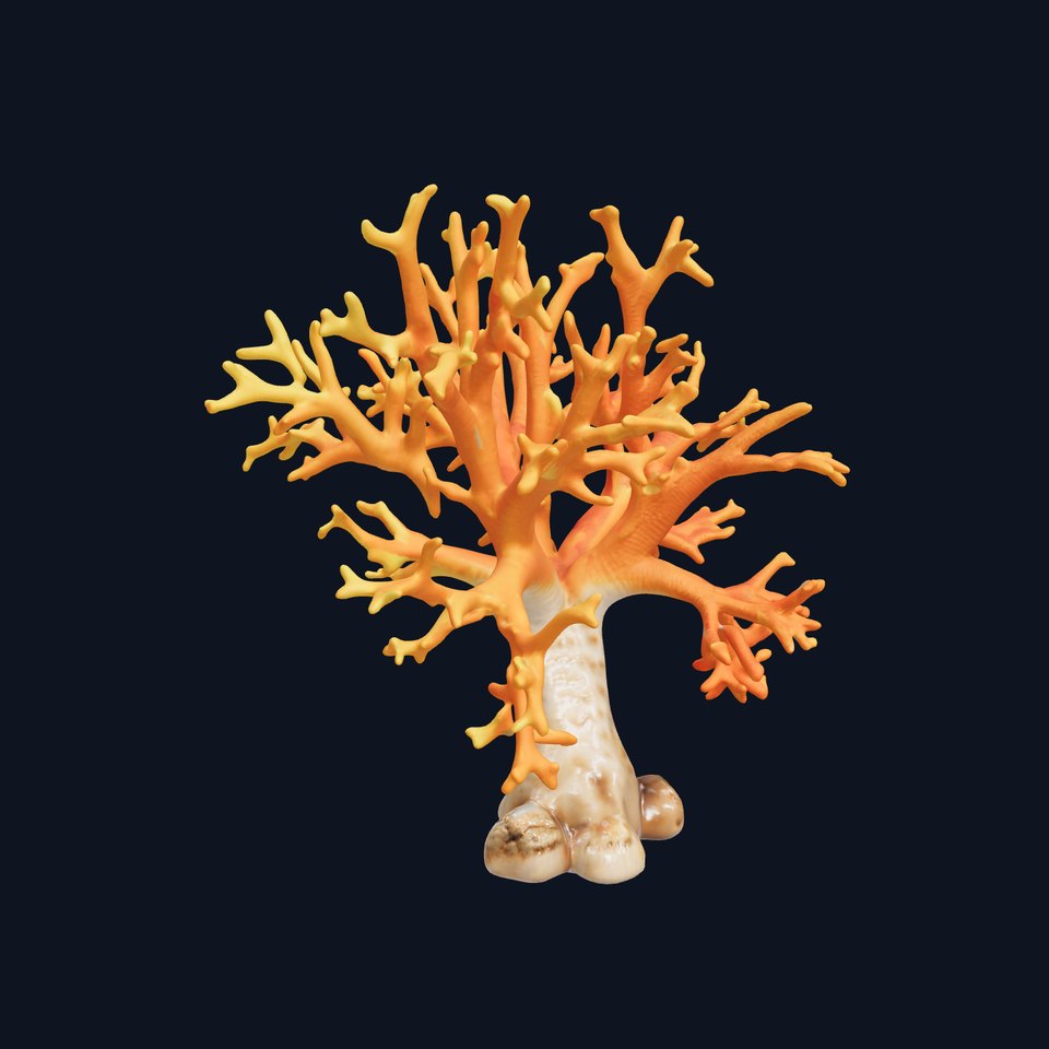 Colorful Coral Reef D Model Pack