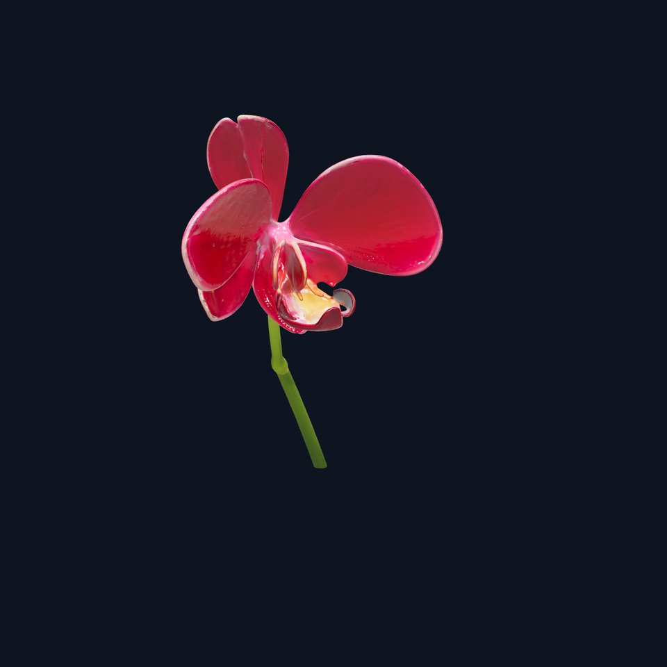 Orchid Flower Model Pack D Detail