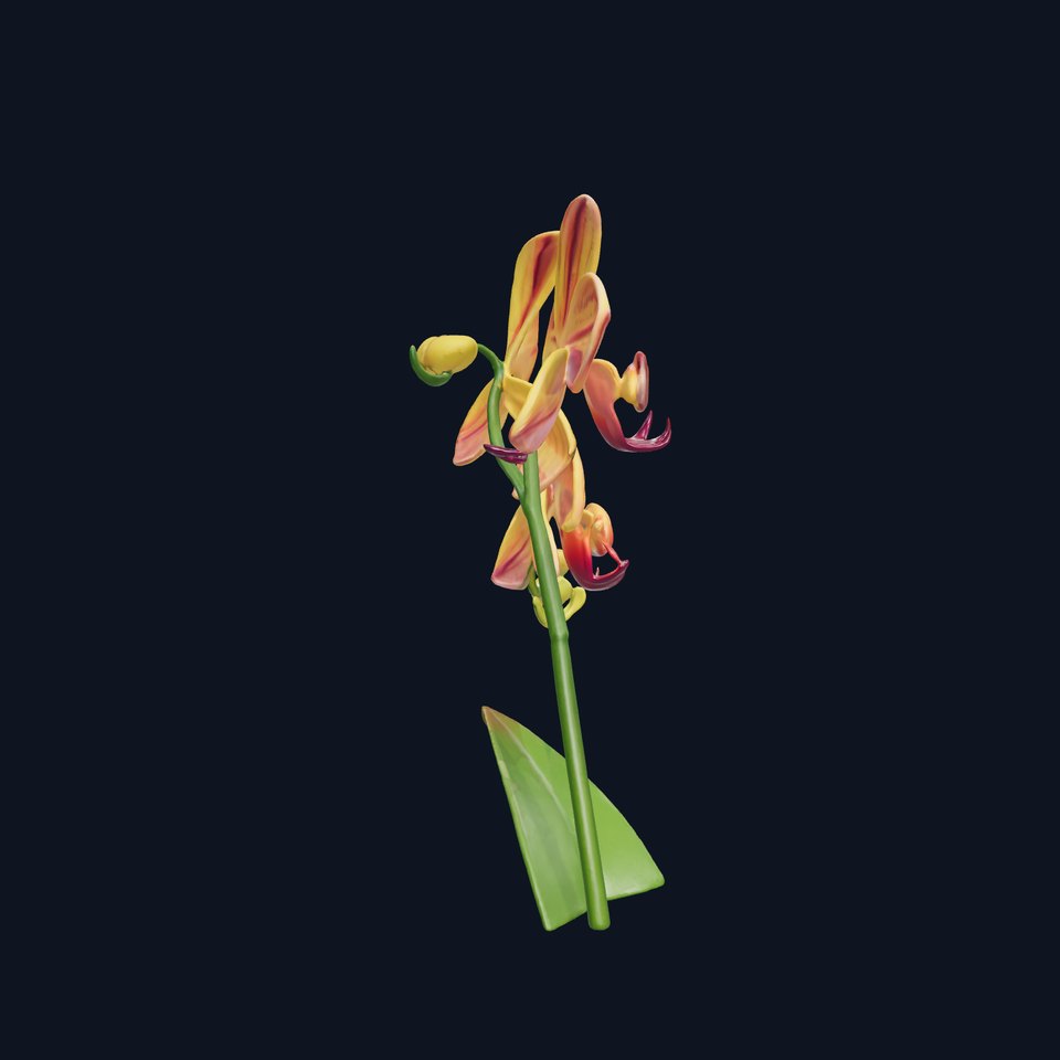 Orchid Blossom Model Pack